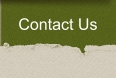 Contact Us Page
